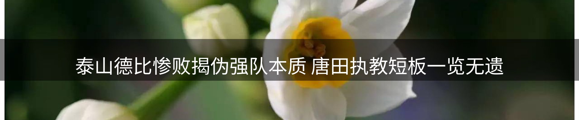 赛事资讯